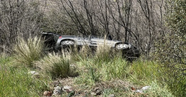 Yola çıkan kedi, kazaya neden oldu Samsun Haberleri