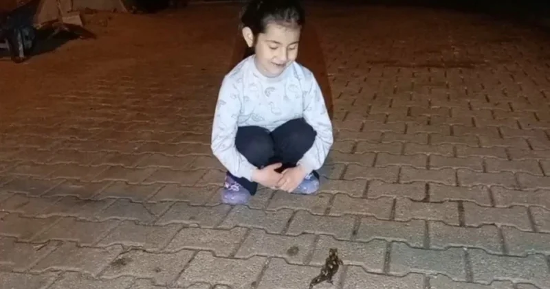 Yolda yürürken karşısına çıktı: Türk semenderi cep telefonuyla kaydedildi Gündem Haberleri