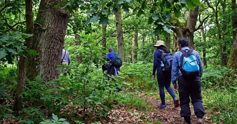 7 ülkenin hazinesini turisitler buldu: Devasa serveti ormanda saklamışlar Sözcü Gazetesi