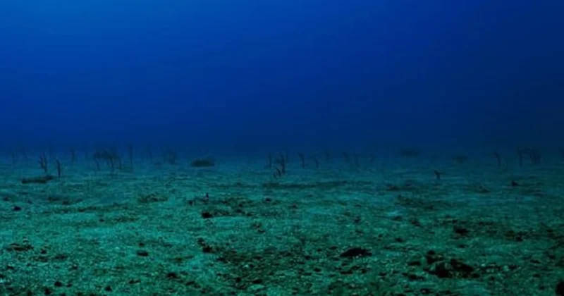 Dünyanın merkezine okyanus sızıyor! Ayağınızın 2.900 kilometre altında korkutan hareketlilik Sözcü Gazetesi