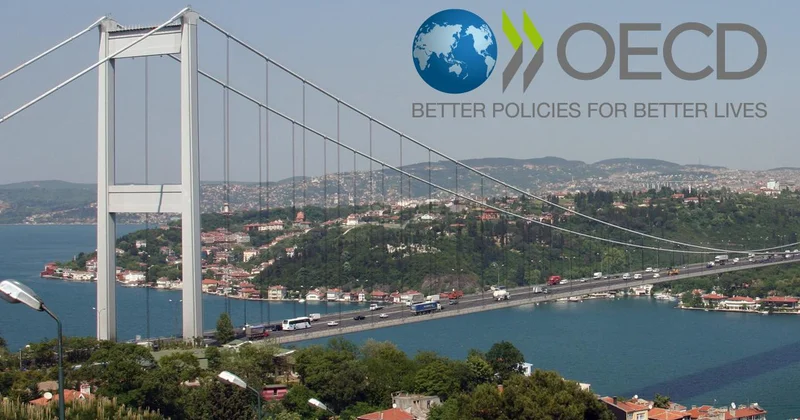 OECD, Türkiye nin potansiyeline dikkati çekti