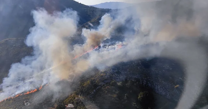 Marmaris te makilik ve otluk alanda çıkan yangına müdahale ediliyor