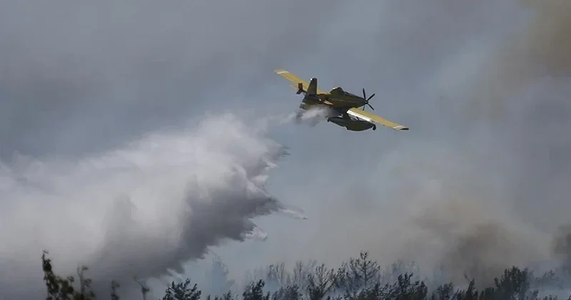 Polonya’da orman yangını faciası: Söndürme uçağı düştü pilot hayatını kaybetti Dünya Haberleri
