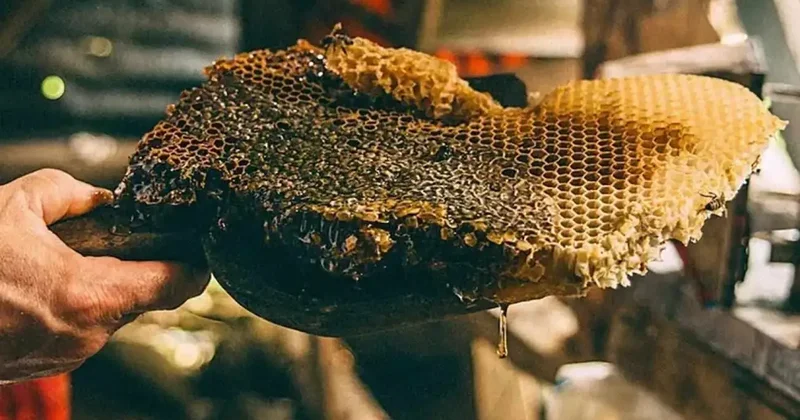 Sadece Türkiye de var: Guinness Rekorlar a adını yazdırdı kilosu 264 bin TL!