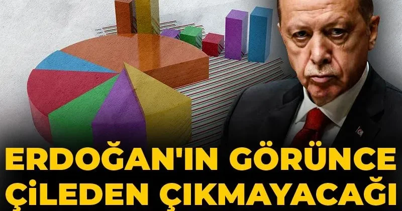 Erdoğan ın görünce çileden çıkmayacağı anket yaptılar