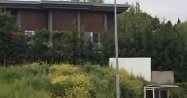 Aç kalan domuz sürüsü, gündüz şehir merkezine indi Bursa Haberleri