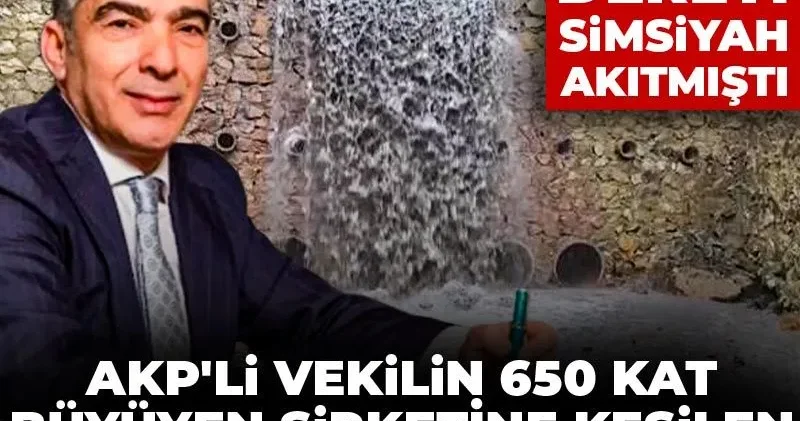 AKP li vekilin 650 kat büyüyen şirketine kesilen ceza devede kulak kaldı: Giresun da dereyi simsiyah akıtmıştı