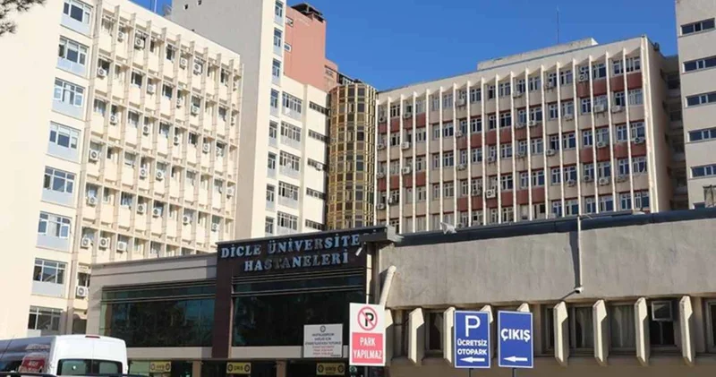 Göğüs silikonlarının parasını altın alımı diye gönderdi! Profesöre ‘bıçak parası’ davası