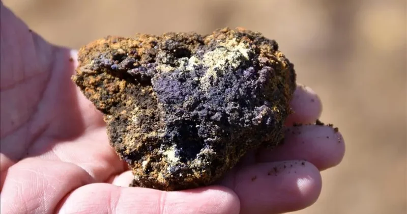 OECD den Türkiye ye kritik mineral vurgusu