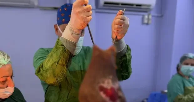 Aydın haberleri Aydın da şoke eden operasyon: Karnından 40 kilogram kitle çıkarıldı 06 Haziran 2026