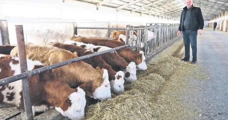 Besicinin geliri güvence altına alınıyor