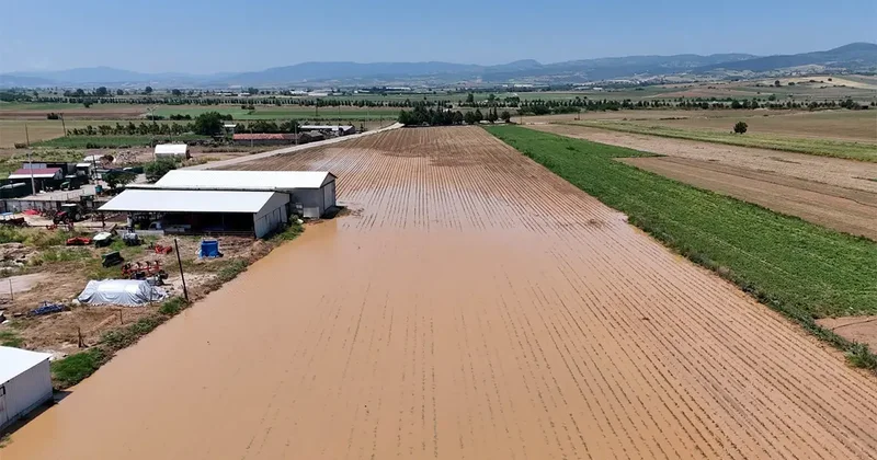 Bursa da sel ve dolu felaketi! tarım alanlarını vurdu