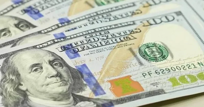 Reel efektif döviz kuru endeksi haziranda 104,90 oldu