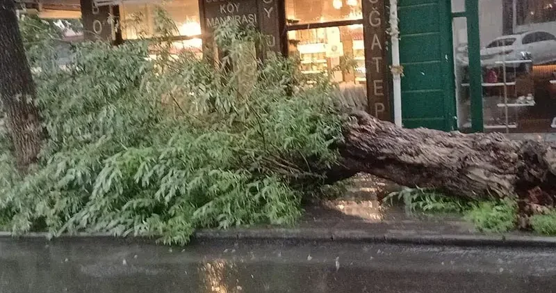 Kars’ta sağanak ve fırtına; yollar göle döndü, ağaç devrildi