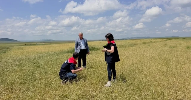 Kars ta fırtına ve dolu sonrası hasar tespit çalışmaları başladı Kars Haberleri Habertürk Yerel Haberler
