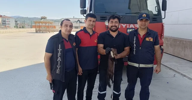 Zonguldak ta bodrum kata giren sansar yakalandı Zonguldak Haberleri Habertürk Yerel Haberler