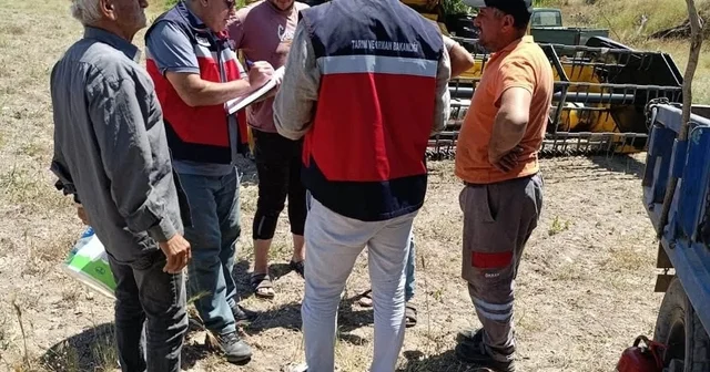 Gediz de biçerdöverle hasat kontrolleri sürüyor Kütahya Haberleri Habertürk Yerel Haberler