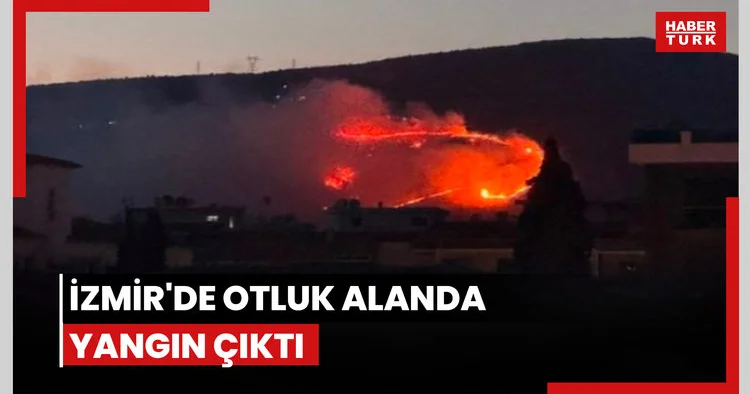 İzmir de yangına müdahale