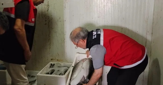 Av sezonunun başlamasıyla su ürünleri denetimleri artırıldı Adıyaman Haberleri Habertürk Yerel Haberler