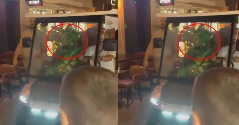 Bülent Ersoy a Canavar benzetmesi! Sosyal medyada tepki çekti