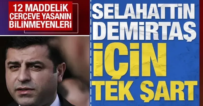 Selahattin Demirtaş için tek şart: 12 maddelik çerçeve yasanın bilinmeyenleri