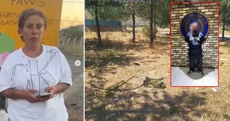 Dernek başkanı hayvansever Mutlu’nun öldürülmesiyle ilgili ağabeyi ve 4 kişi tutuklandı