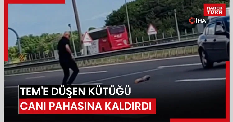 TEM e düşen 1.5 metrelik kütüğü canını tehlikeye atarak yoldan kaldırdı