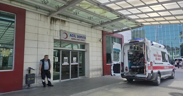 Doğadan topladıkları mantarları yedikten sonra fenalaşan çift hastaneye kaldırıldı Ordu Haberleri Habertürk Yerel Haberler
