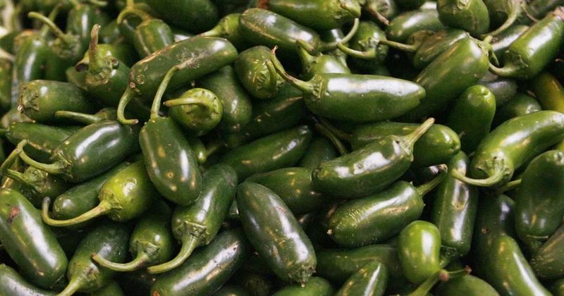ABD de jalapeno biberlerinden kaynaklandığı düşünülen salmonella salgını 27 eyalete yayıldı