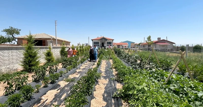 Konya da para geçmeyen otel açıldı: Yemek de konaklama da bedava ama tek bir şartı var Sözcü Gazetesi