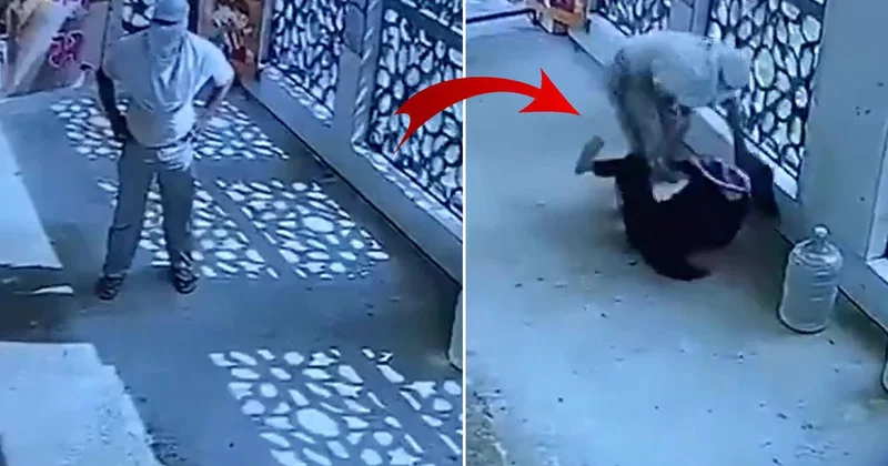 Reddedilince dehşet saçtı! Öğretmenini okul kapısında katletti