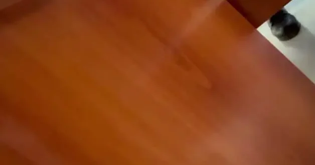 İzmit Belediyesi ne yönelik yürütülen yolsuzluk soruşturmasında rüşvet görüntüleri ortaya çıktı