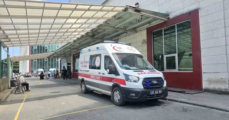 Topladıkları mantardan zehirlenen yaşlı çiftin durumu ağır