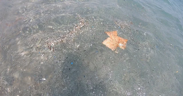 Antalya kıyılarında mikroplastik alarmı; canlıların ölümüne sebep olabiliyor Antalya Haberleri Habertürk Yerel Haberler