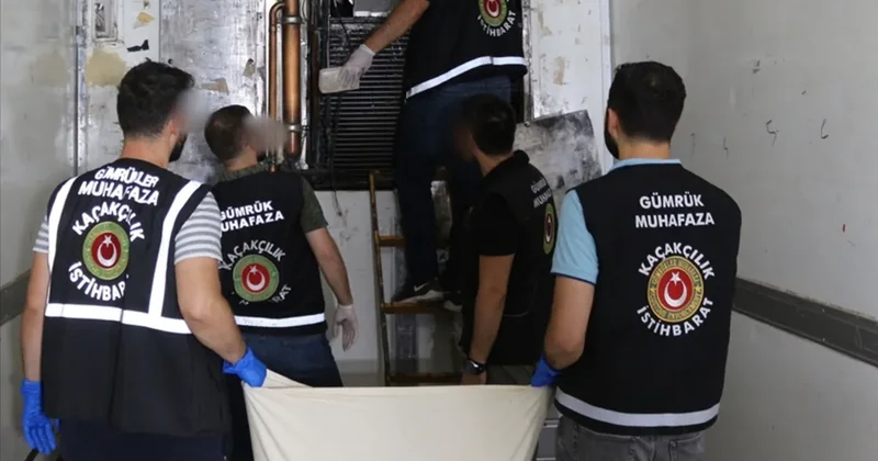 Bakanlık devreye girdi: Hayvan kaçakçılığına geçit yok! 58 bin canlı kurtarıldı