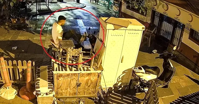 Eve gitmek için parktan motosiklet çaldı; alkollüydüm, hatırlamıyorum dedi Adana Haberleri Habertürk Yerel Haberler