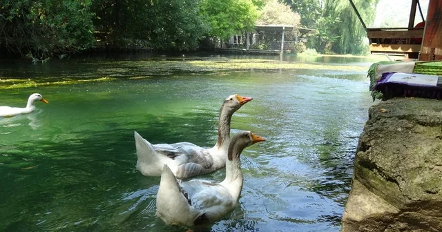 Akyaka yı aratmayan Bucak Vadisi doğaseverlerin gözdesi Adana Haberleri Habertürk Yerel Haberler