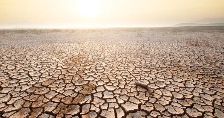 El Nino 50 milyon insanı aç bırakacak