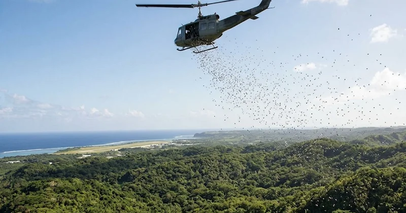 Helikopterle havadan 2000 tane yağdırdılar Sözcü Gazetesi