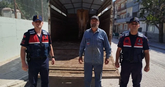 Eskişehir de çalınan büyükbaş hayvanlardan biri Bilecik te bulundu Bilecik Haberleri Habertürk Yerel Haberler