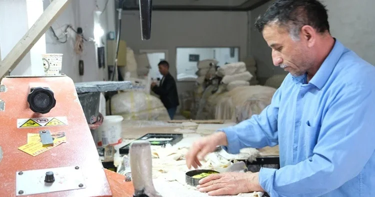Norveç ten ithal edip Erzincan da üretimini sağlıyorlar
