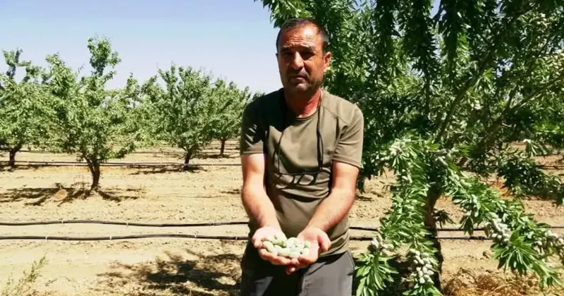 Kayseri de 16 yıl önce hobi olarak başladı, o iş alıp başını yürüdü
