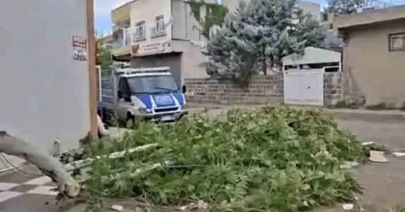 Siverek’te etkili olan fırtına, tarlada çalışan işçilere zor anlar yaşattı