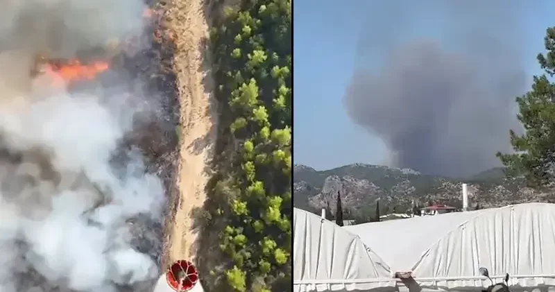 Antalya da orman dışı alanda yangın