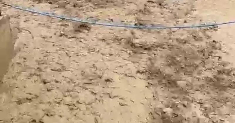 Karayolunu sel vurdu! Dereler taştı, bir araç mahsur kaldı