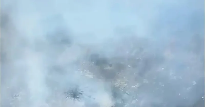 Alanya’nın iki ayrı mahallesindeki kısmen ormana sıçrayan yangın söndürüldü