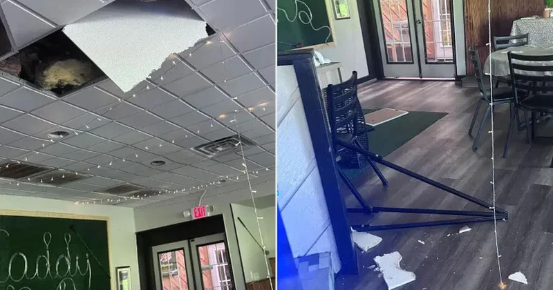 Hırsız sandılar, kamerayı izleyince şoke oldular: Meğer restoranı...