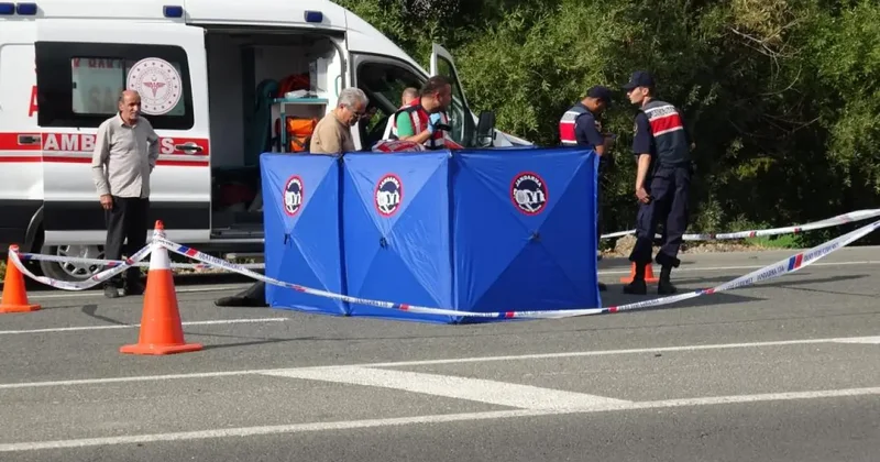 Tuvalet için yolun karşısına geçti, hayatını kaybetti!