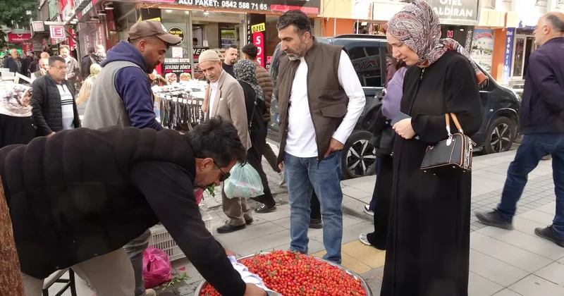 Dağlarda kendiliğinden yetişiyor! Bardakla alırsanız 50 lira, kiloyla 400 lira!