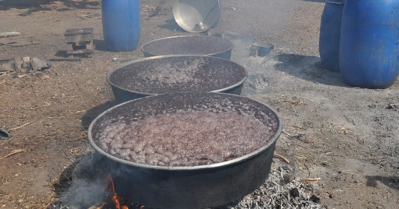 8 kilodan 1 kilo çıkıyor: Hasat bitti kazanlar kuruldu Sözcü Gazetesi